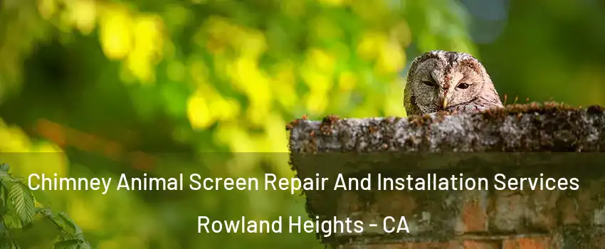  Chimney Animal Screen Repair And Installation Services Rowland Heights - CA
