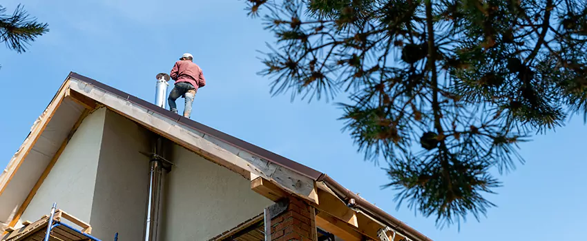 Birds Removal Contractors from Chimney in Rowland Heights, CA