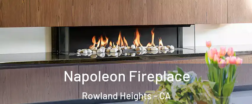  Napoleon Fireplace Rowland Heights - CA